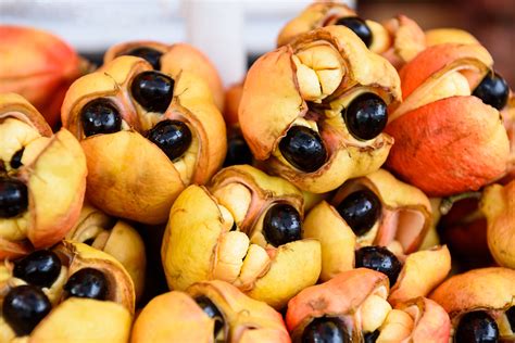 The Paris Review - The Caribbean’s Deadliest Fruit: A Taste Test - The ...