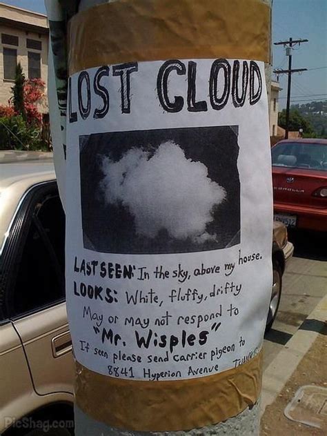 The Funniest Street Fliers | Missing posters, Funny signs, Lost & found