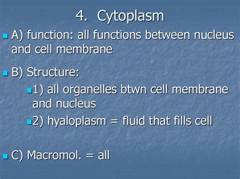 Organelles and Cell Parts - ppt download