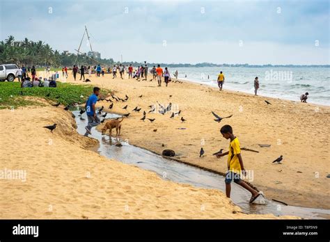 Sri Lanka, Western province, Negombo, Negombo beach Stock Photo - Alamy