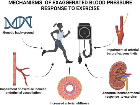 Clinical and Prognostic Value of Exaggerated Blood Pressure Response to Exercise