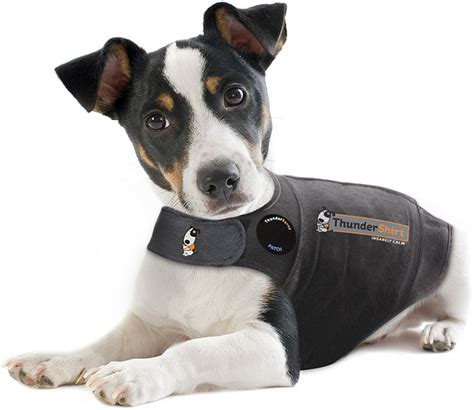 ThunderShirt Can Help Stop Your Dog’s Anxiety and Barking – DoggoPupper