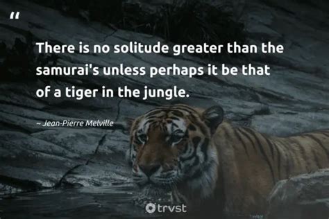 42 Jungle Quotes Inspiring Conservation And Adventure (2024)