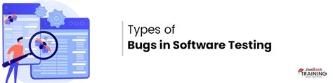 Software bugs, bugs in software, software development issues