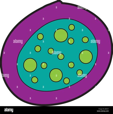 Cytoplasm Microscope High Resolution Stock Photography and Images - Alamy