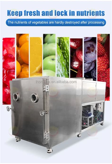 Industrial Large Freeze Drying Equipment Freeze Dryer Prices - Buy ...