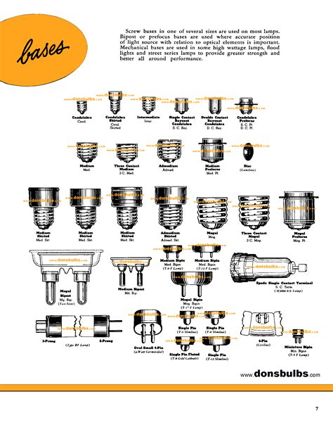 bulb bases | Bulb, Flood lights, Light bulb