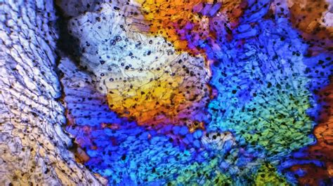 Gallery Ice crystals under polarized light microscope 07 - DYSTALGIA : Aurel Manea photography ...
