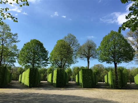 The Schönbrunn Palace: Exploring Vienna's Baroque Masterpiece in Spring ...