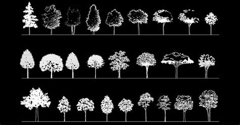 Bloques AutoCAD de árboles en alzado dwg - DWGAutoCAD