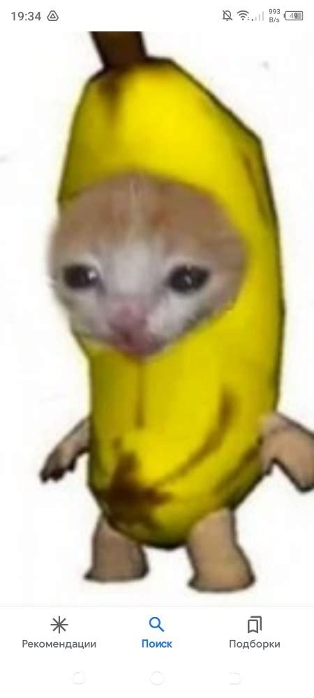 Create meme "a crying cat in a banana costume, the banana cat, cat with ...