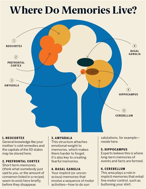 Experts are still discovering exactly how our brains make, sort, and store memories. Heres what ...