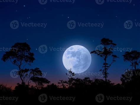 Moonlight in forest landscape 12736096 Stock Photo at Vecteezy