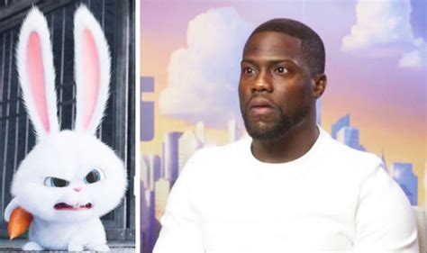 Secret Life of Pets Kevin Hart fights Hollywood racism playing a white bunny | Films ...