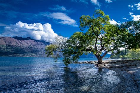 Lake Wakatipu, Queenstown, New Zealand Landscape Wallpaper Hd : Wallpapers13.com