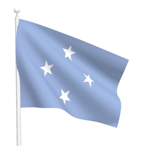 Micronesia Flag (Heavy Duty Nylon Flag)