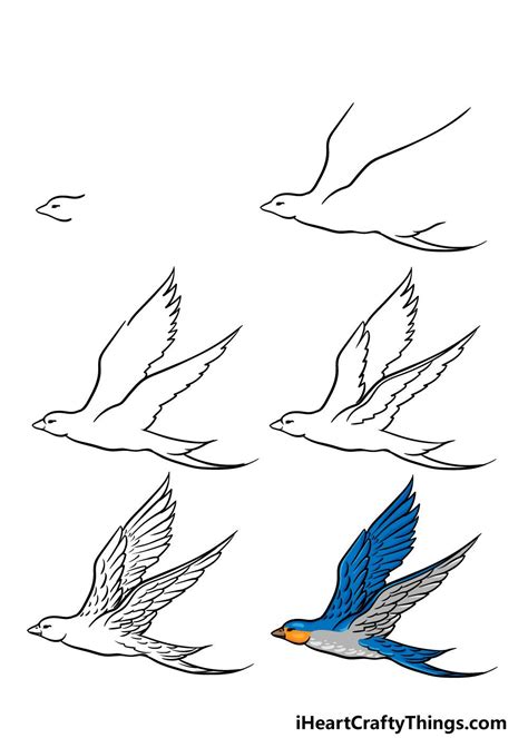 How to Draw A Flying Bird – A Step by Step Guide | Flying bird drawing ...