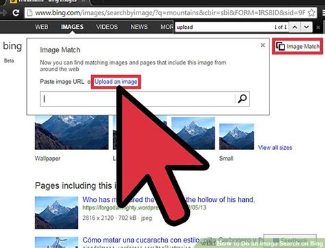 How to Do an Image Search on Bing: 6 Steps (with Pictures)