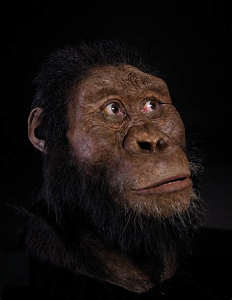 A 3.8-million-year-old fossil from Ethiopia reveals the face of Lucy's ancestor