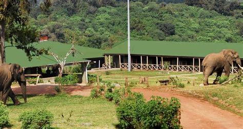 Ngorongoro Rhino Lodge | Ngorongoro Crater Tanzania