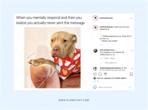 How To Incorporate Memes Into Your Instagram Strategy – Plann