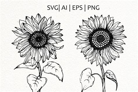 Sunflower Drawing, Watercolor Sunflower, Drawing Flowers, Flower Sketches, Sunflower Tattoos ...
