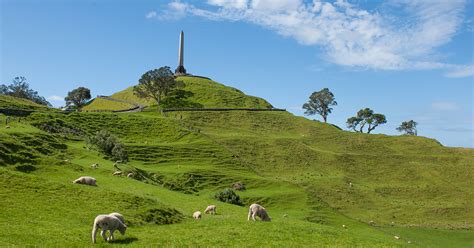 Must See Auckland | Cornwall Park - Auckland Tourism