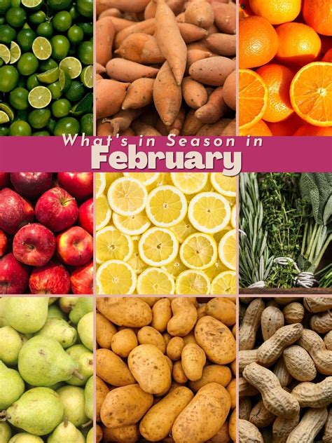 What Fruits and Vegetables are in Season in February - My Forking Life