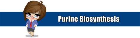 Purine Synthesis : Synthesis of Purine RiboNucleotides