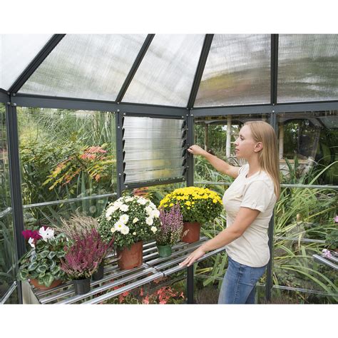 Oasis Hexagonal Greenhouse | Easy DIY Kit » Tip Top Yards