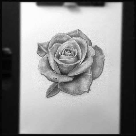 Shading - compare with http://www.drawspace.com/work/18398 Rose Drawing ...