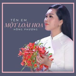 Trữ Tình & Bolero - Những playlist nhạc hay mới nhất trên Zing MP3