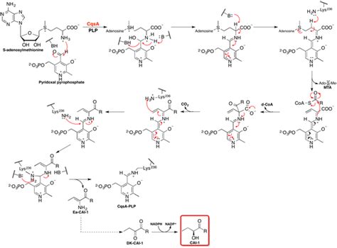 What is the importance of organic chemistry in biochemistry? - Quora