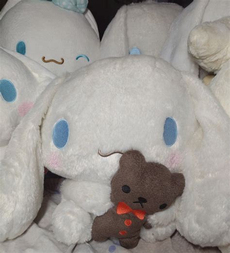 Rare Cinnamoroll Holding Brown Bear Plush [SOLD], Hobbies & Toys, Toys ...