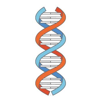 DNA (colored) | TogoTV