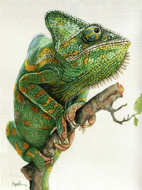 Watercolor Painting - Chameleon by Linda Apple Animal Paintings, Animal ...