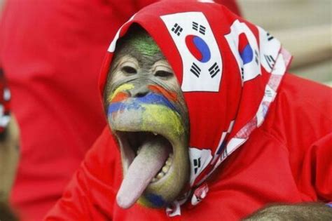 Funny World Cup 2010 Fans (45 pics) - Izismile.com