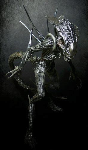 Xenomorph Drone Vs Warrior - just-imaginee