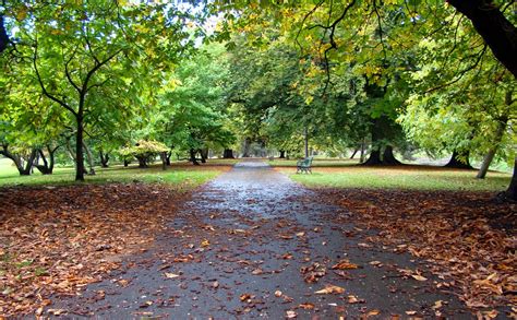 Autumn in Bute Park | 22/10/10 Bute Park, Cardiff, Wales | Jon Candy | Flickr