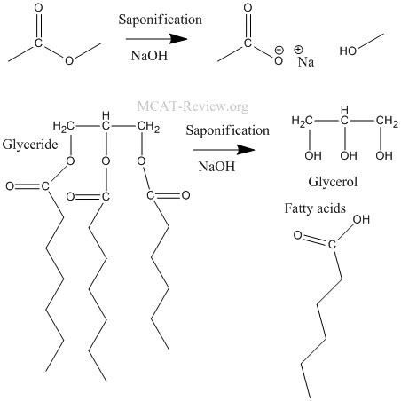 Opinions on Saponification