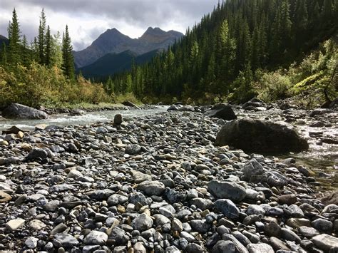 Fiddle River Trail, Jasper National Park, Canada : r/hiking