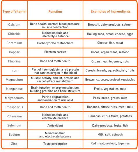 Types of Nutrients and Their Functions