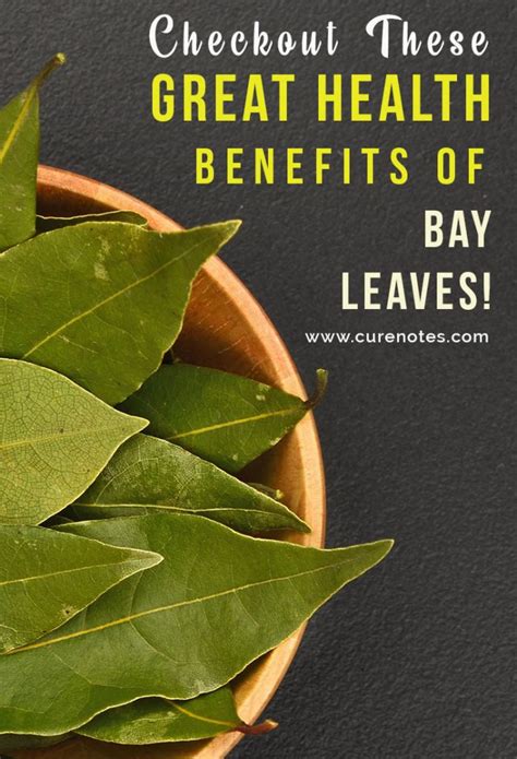 Checkout these Great Health Benefits of Bay Leaves! – CureNotes.com