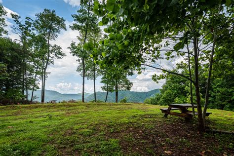 Lil Snowbird Farm Primitive Camping - Hipcamp in Robbinsville, North ...