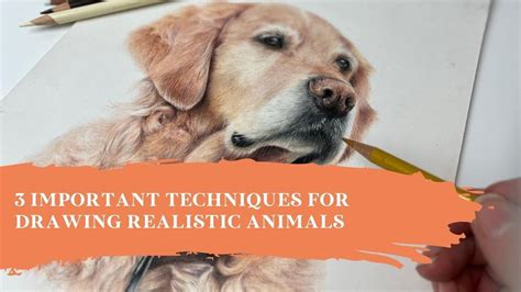 3 Important Techniques for Drawing Realistic Animals