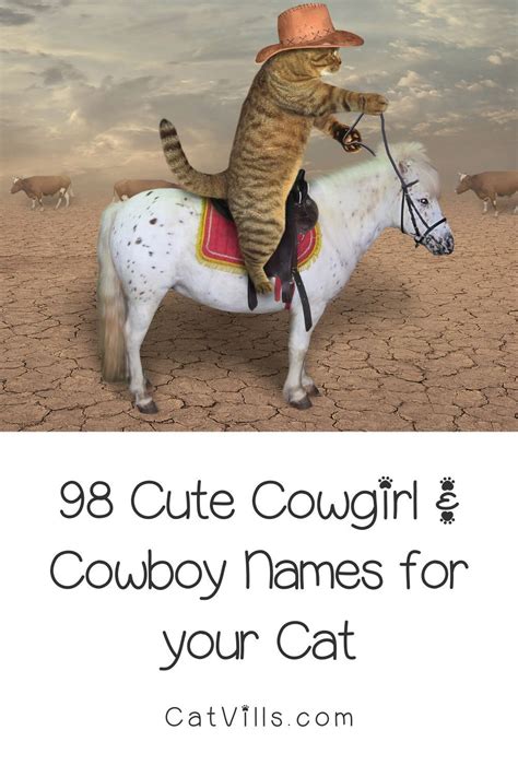 98 cute western cat names for cowgirl cowboy cats – Artofit