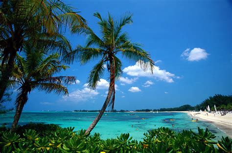 Beaches : The Bahamas