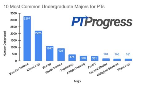 What is the Best Undergraduate Major for Physical Therapy?