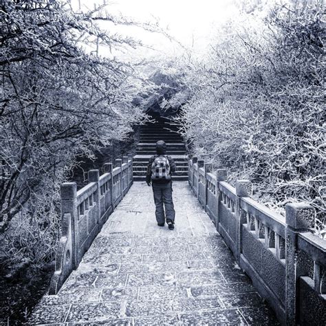 Young Woman Small Road Huangshan National Park Stock Photos - Free & Royalty-Free Stock Photos ...