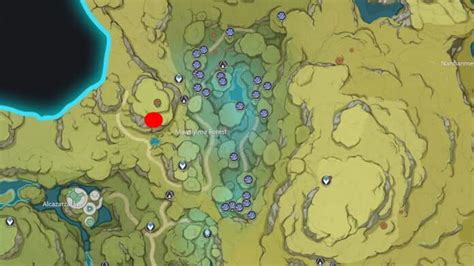 Genshin Impact Rukkhashava Mushroom Locations and Guide